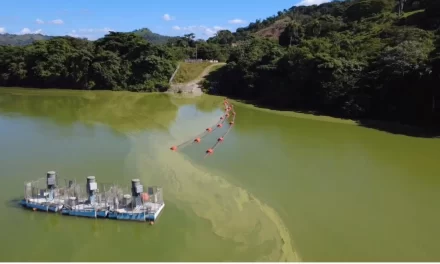 Las comunidades renuevan llamados a la acto por preocupaciones de contaminación en la presa Hatillo