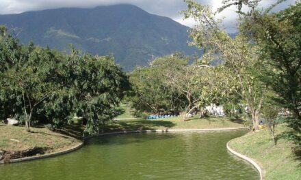 Mujeres denuncian acoso sexual mientras hacían gimnasia en el Parque del Este