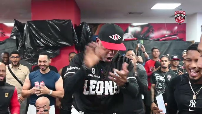 Leones y Toros se enfrentan en una serie final inédita en la Liga Dominicana de Béisbol