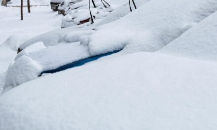 Tormenta invernal cancela 89 vuelos entre EE.UU. y República Dominicana