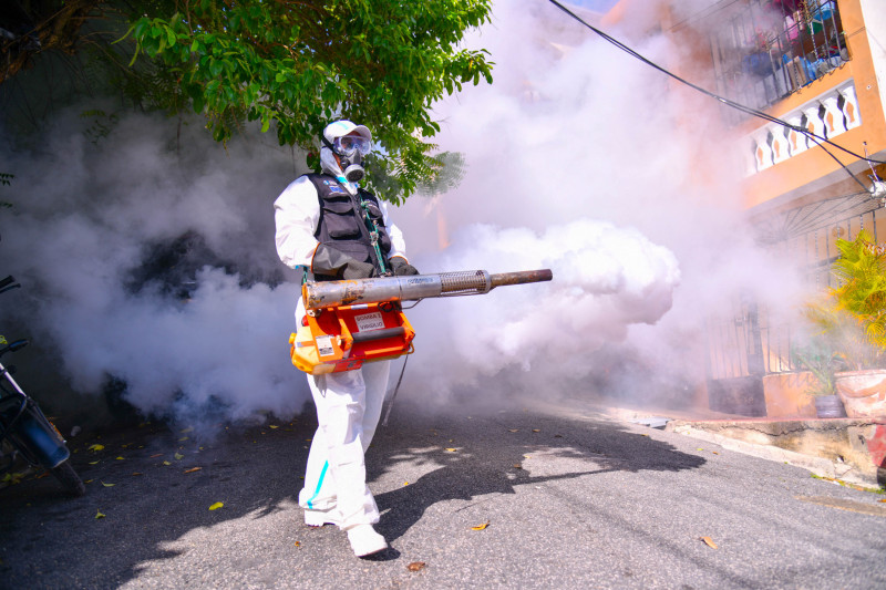 República Dominicana ha registrado 31 casos de dengue en lo que va de 2026.
