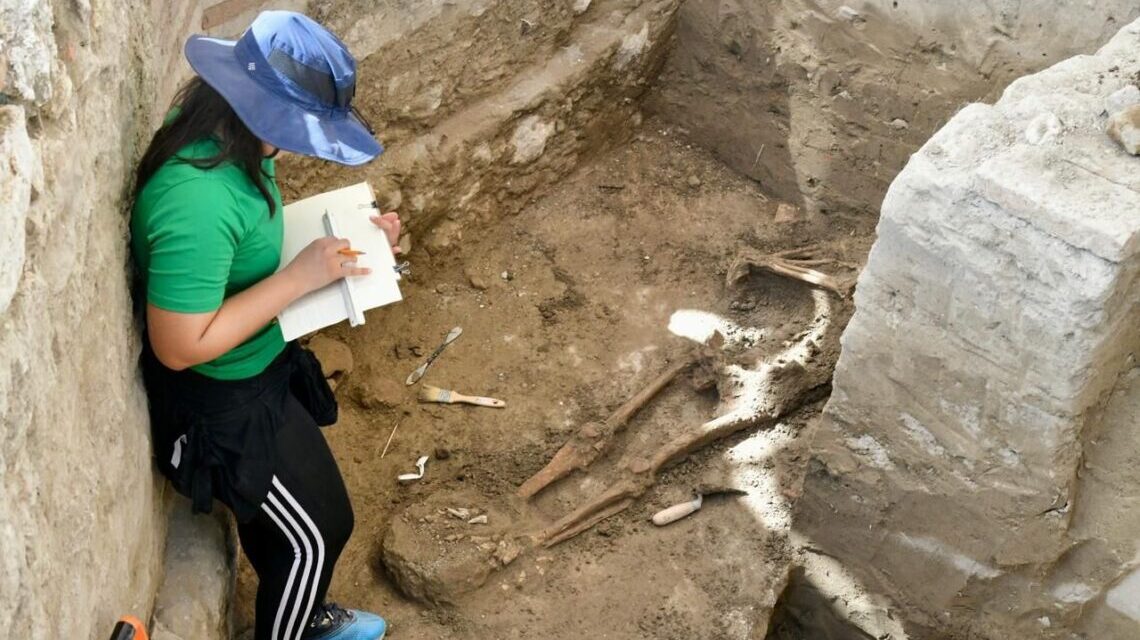Arqueólogos descubren 13 esqueletos humanos en Pueblo Viejo en examen del dueño Enriquillo