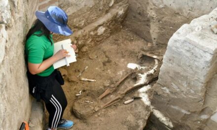 Arqueólogos descubren 13 esqueletos humanos en Pueblo Viejo en examen del dueño Enriquillo