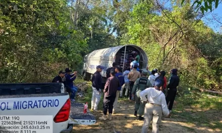 DGM detiene a cientos de extranjeros indocumentados por delitos ambientales a nivel franquista