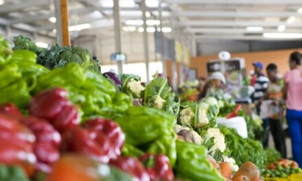 Precios de alimentos lideran encarecimiento de inflación de enero en República Dominicana