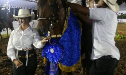 Sucesor, Gran Campeón Circuito Nacional de Paso