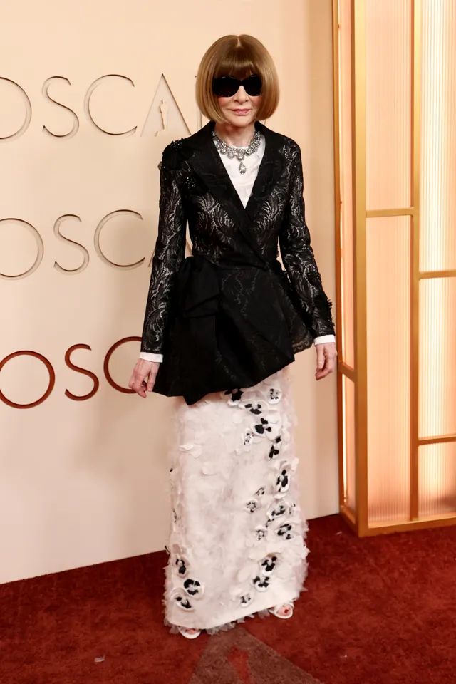 Celebridades deslumbraron al caminar por la alfombra roja de los Oscar 2026 | 11 | Celebridades deslumbraron al caminar por la alfombra roja de los Oscar 2026 - Noticias de hoy en República Dominicana | último minuto