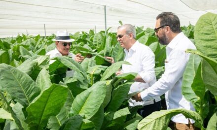 Abinader recorre Finca La Milagrosa para robustecer tecnología tabacalera