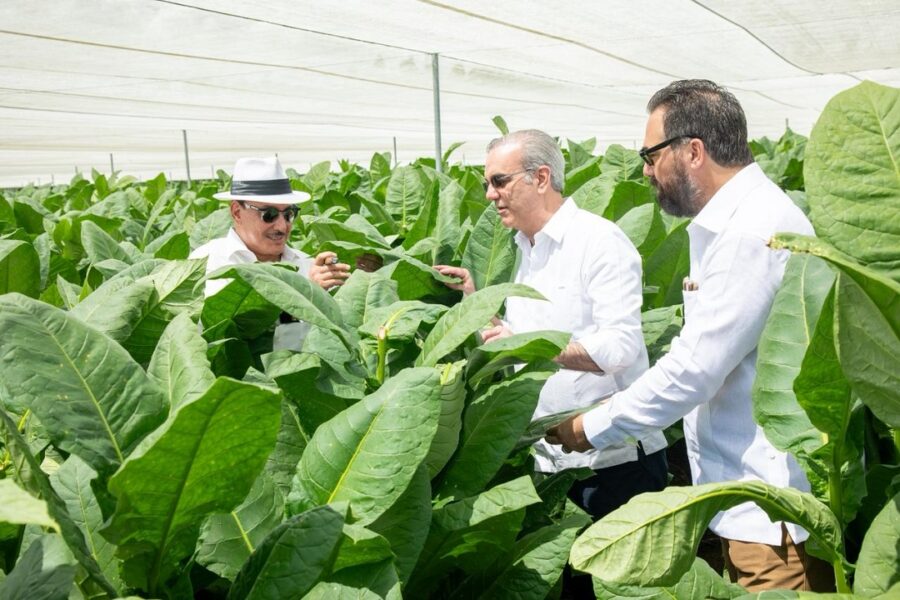 Abinader recorre Finca La Milagrosa para robustecer tecnología tabacalera