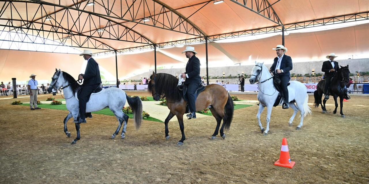 Abren en Santiago un actual centro ecuestre para competencias hípicas