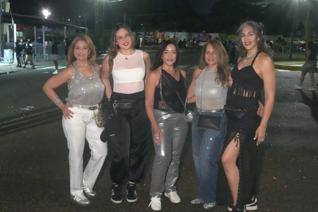 Fanáticos derrochan brillo, transparencia y mucha actitud en concierto de David Guetta – Noticias de hoy en República Dominicana | último minuto