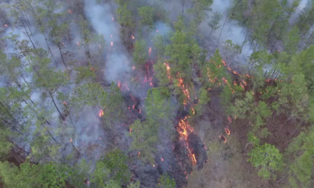 Los incendios forestales, un problema en constante aumento en República Dominicana durante los últimos seis abriles