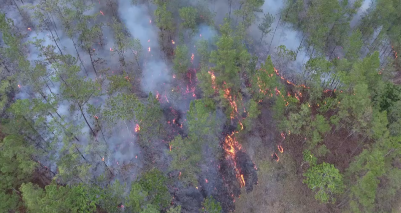 Los incendios forestales, un problema en constante aumento en República Dominicana durante los últimos seis abriles