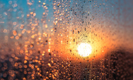 Qué cambia el clima hoy posteriormente de las lluvias torrenciales