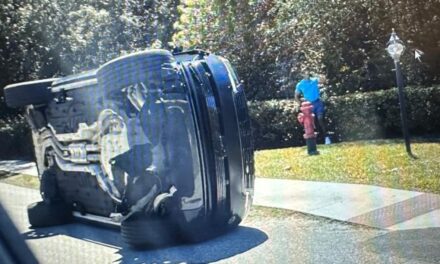 Tiger Woods descocado bajo fianza