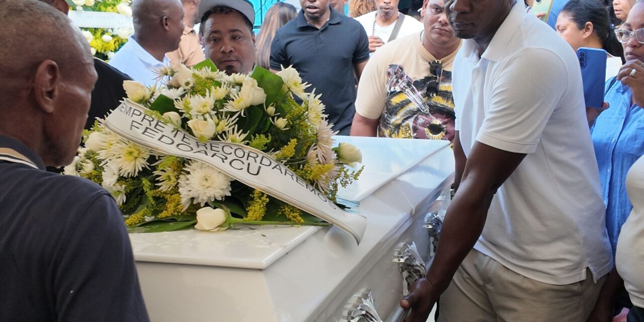 Figuras culturales valoran el cesión de Enerolisa Núñez