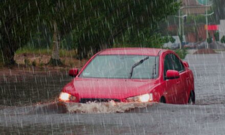 ¿Qué cubre verdaderamente el seguro contra inundaciones? Una monitor para proteger sus activos.