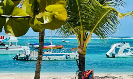 Adompretur pide regular tráfico náutico en Playa Bávaro