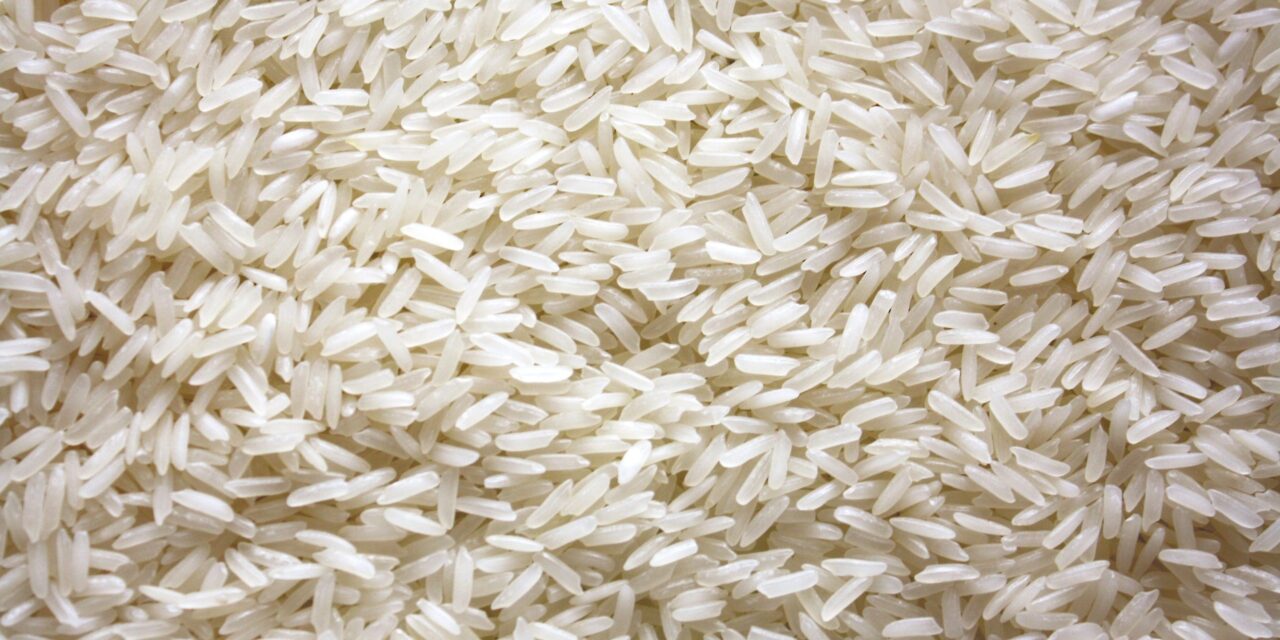 Agricultores dominicanos piden límites a las importaciones de arroz y pollo