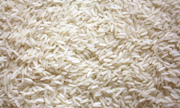 Agricultores dominicanos piden límites a las importaciones de arroz y pollo