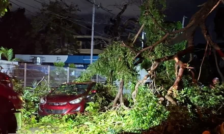 Gazcue duramente vapuleado por una tormenta repentina, decenas de vehículos afectados