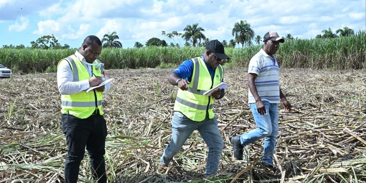 Gobierno dominicano refuerza esfuerzos para erradicar el trabajo inmaduro