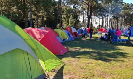 Parque Nacional Valle Nuevo sigue siendo manifiesto, aclara Secretaría de Medio Ambiente
