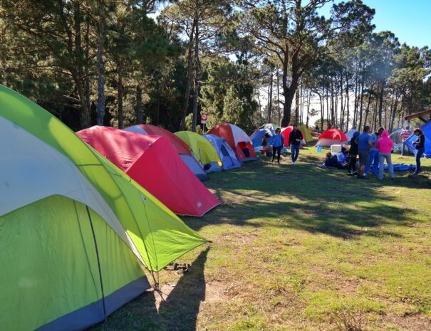 Parque Nacional Valle Nuevo sigue siendo manifiesto, aclara Secretaría de Medio Ambiente