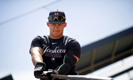 Domínguez asciende a los Yankees delante la partida de Stanton | De Extremo Minuto