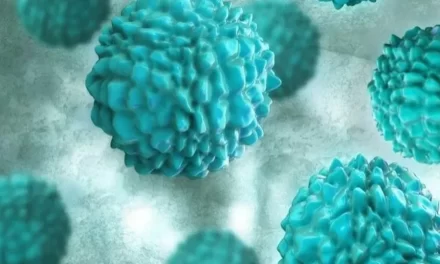 ¿Qué es el norovirus?
