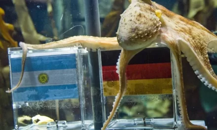 De Paul el pulpo a la Inteligencia Artificial: así evolucionan los pronósticos para el Mundial | De Postrer Minuto