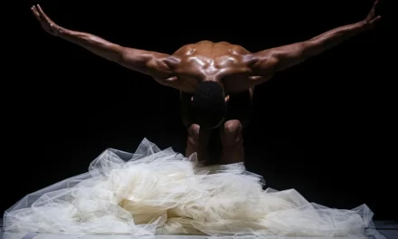 La Ciudad de la Danza, regresa EDANCO 2026 – RC Noticias