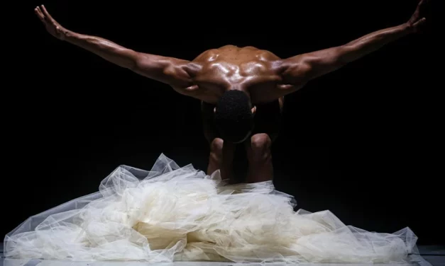 La Ciudad de la Danza, regresa EDANCO 2026 – RC Noticias