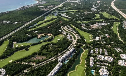 Piñero automatiza procesos empresariales en Riviera Maya – RC Noticias