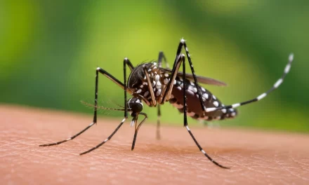 Ministerio de Salud mantiene bajo control el dengue y otras enfermedades priorizadas en el país – RC Noticias