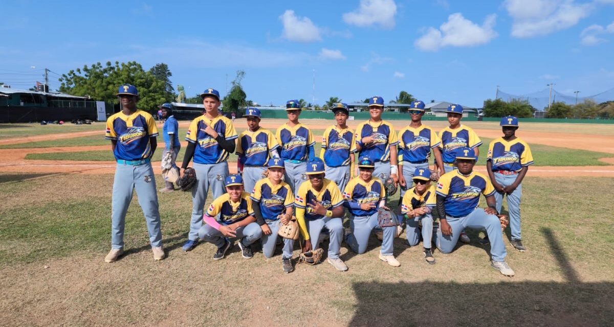 Tiburones, Babe Ruth, Jaguares y Liga Abreu, a la final del Internacional de Béisbol Punta Cana
