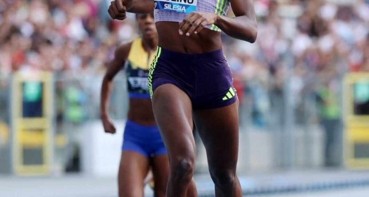 ¿Cuál es el proceso para formar un atleta élite?