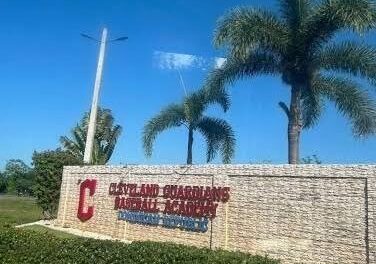 Prospecto dominicano de MLB es suspendido por fraude