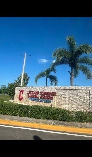 Prospecto dominicano de MLB es suspendido por fraude
