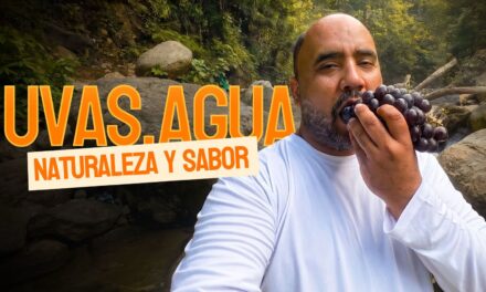 Sabor de la Calle muestra riqueza agrícola de Bahoruco