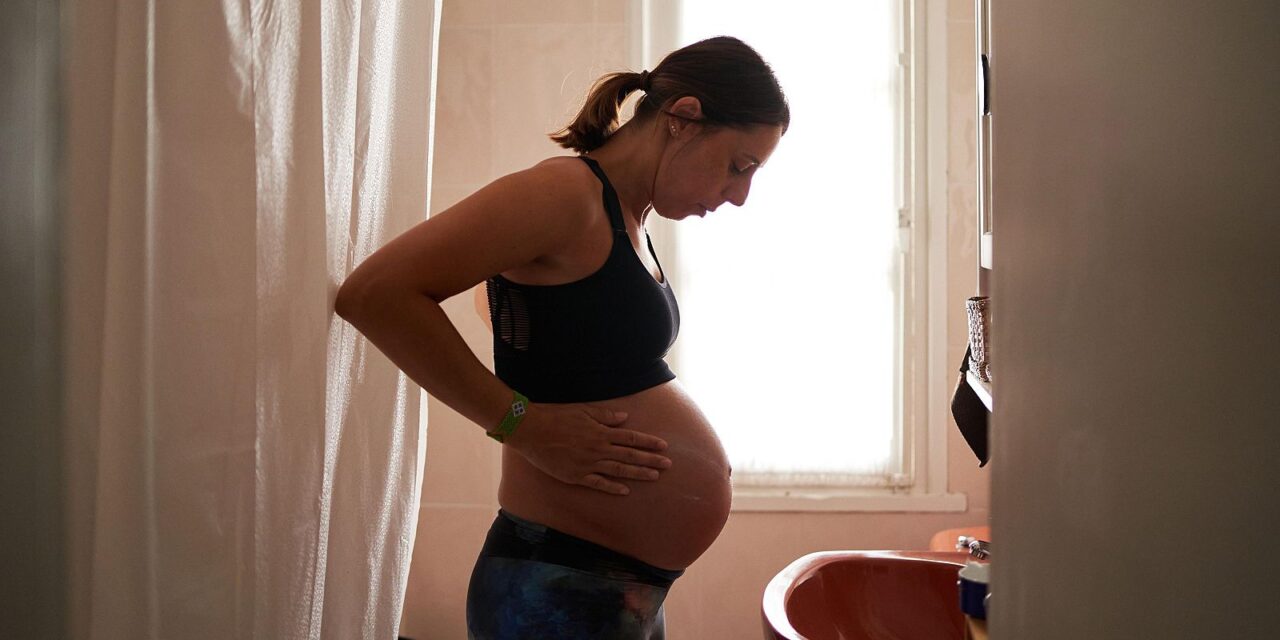 La pubertad y el apuro tienen una disminución de materia grisáceo, pero la menopausia no – RC Noticias