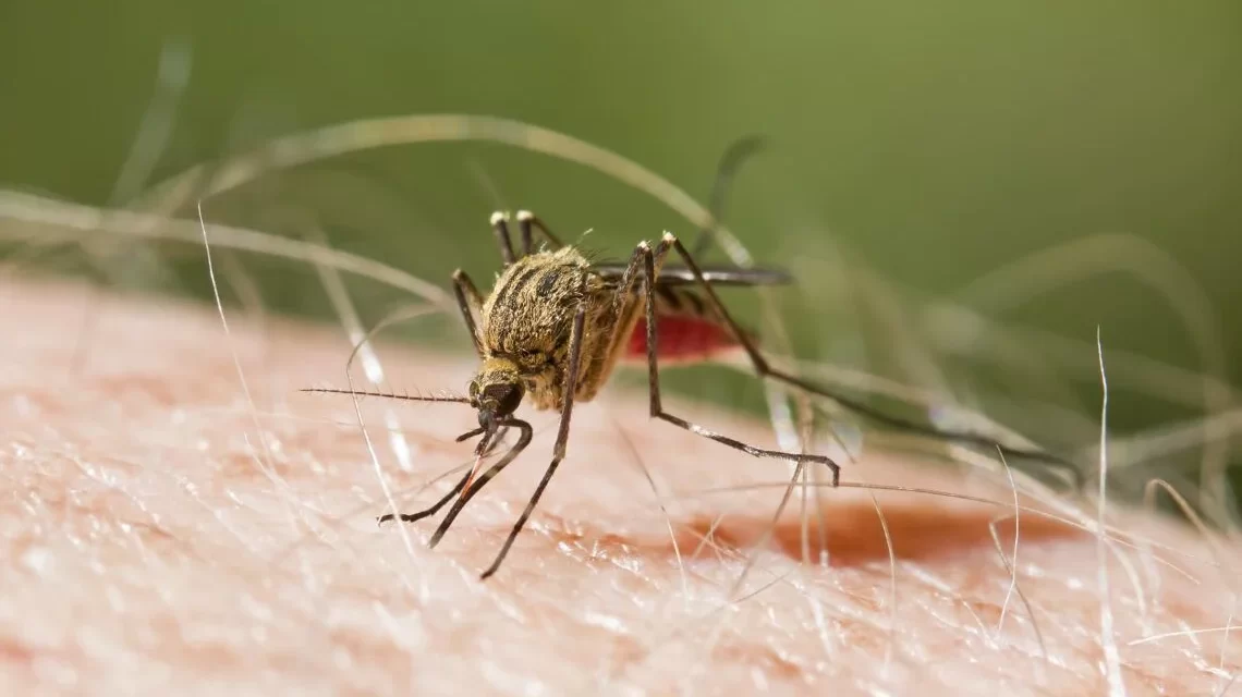 devaluación malaria, dengue en zona de éxito y cólera sin casos notificados – RC Noticias