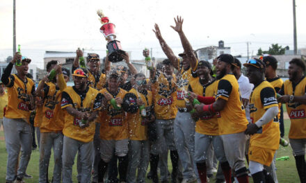 Liga Nacional de Béisbol de Verano anuncia su segundo congreso 2026 | De Postrero Minuto