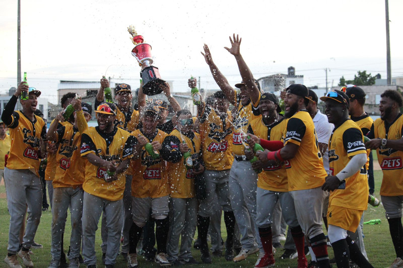 Liga Nacional de Béisbol de Verano anuncia su segundo congreso 2026 | De Postrero Minuto